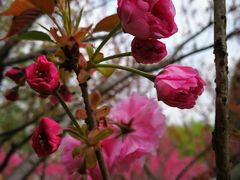 -白塘生态植物园