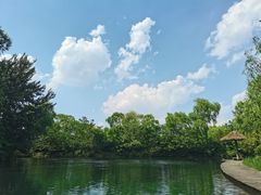 -百脉泉景区