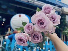 -花与咖啡馆(金星楼店)