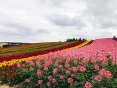 -富田农场