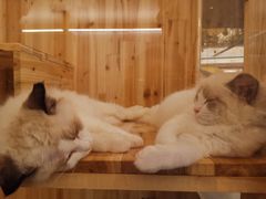 -姑苏二十四集(iD PARK 歌林公园店)