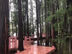 -东湖落雁景区