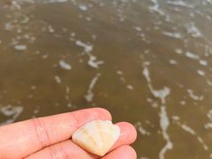 -东海半边山旅游度假区
