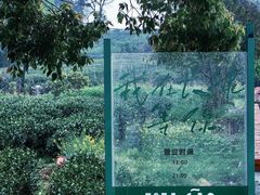 -龙坞茶村