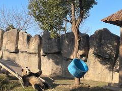 -上海野生动物园