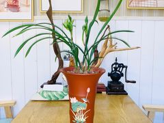 -Rabbit Cafe私房西餐甜点咖啡(栖霞路店)