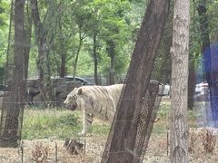 -秦皇岛野生动物园