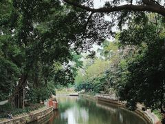-荔湾湖公园