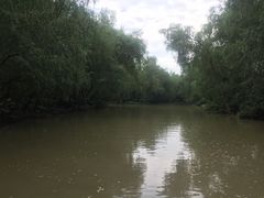 -大湾区中央湿地公园