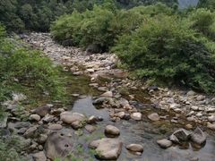-祁门牯牛降观音堂风景区