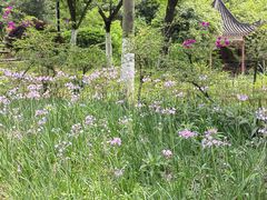 -大渡口区义渡公园