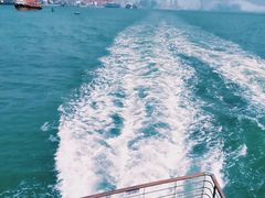 -招商蛇口邮轮母港(观光客运)