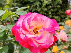 -人民公园(罗湖区)