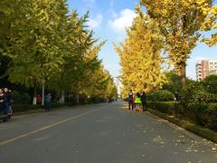 -四川大学(望江校区)