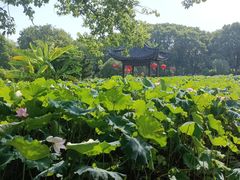 -丝绸小镇荻港古村