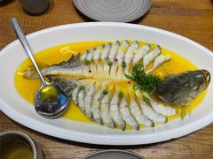 鸡汁蒸东海大黄鱼-必点海鲜·鲅鱼水饺(鞍山西道店)