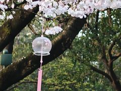 -杭州少年儿童公园