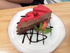 -飞行喵MR PILOT|猫舍·猫咖(静安大融城店)