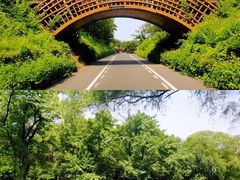 -沈阳植物园