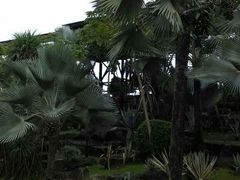 -东芭乐园