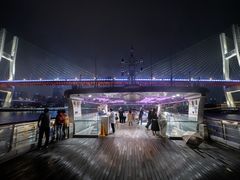 -黄浦江游览快线(金陵东路码头)