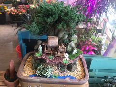 -万达广场(东莞厚街店)