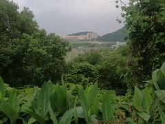 -平湖九龙山旅游度假区