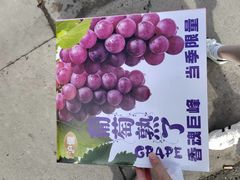 -上海龙吴水胜海发市场