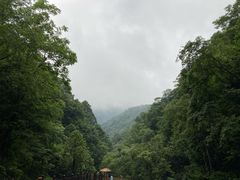 -西岭雪山大飞水景区