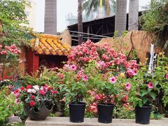 -园林美食城·本土农家菜(杨和镇店)