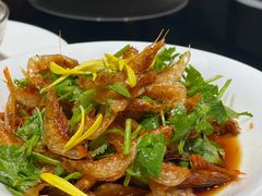 香菜拌大白虾-鲨鱼醉鲜坊