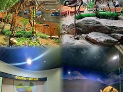 -中国第四纪冰川遗迹陈列馆