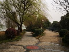 -长广溪湿地公园