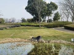 -尚贤河湿地