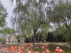 -石家庄市动物园