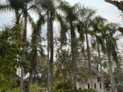 -西双版纳傣族园-曼春满佛寺