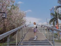 -南宁南湖公园