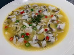 -青花椒花椒鱼(合生汇店)