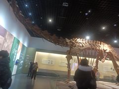 -衢州市博物馆