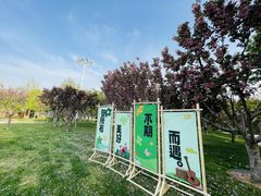 -青岛鑫江温德姆酒店