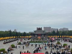 -大槐树寻根祭祖园