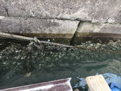 -星海水上乐园(星海广场圣亚店)