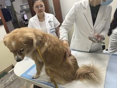 -美联众合动物医院·24h转诊中心