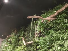 -Seesaw Coffee(环贸iapm店)