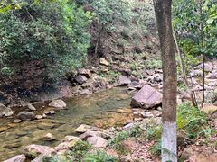 -广州白江湖森林公园