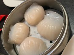-金凯旋宫