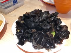 木耳-刘一锅筋头巴脑(大悦城C店)