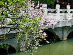 -南汇桃花村