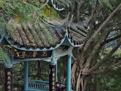 -乌山风景区