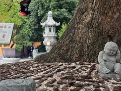 -龙华素斋(龙华路店)